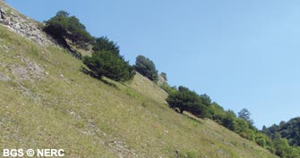 The steep south-facing slope of Burrington Combe, a haven for lime-loving plants