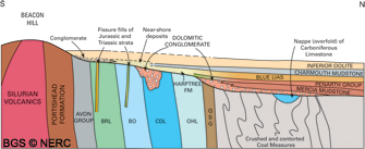 Generalised schematic geological cross-section across the northern flank of the Beacon Hill Pericline (click to enlarge view).