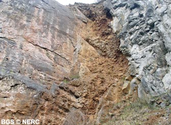 A fault with shattered rock exposed in a disused quarry, Shipham gorge.