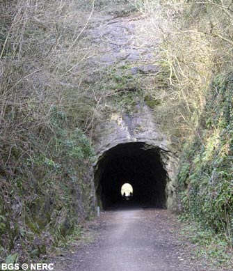 Black Rock Limestone exposed in the Shute Shelve railway tunnel