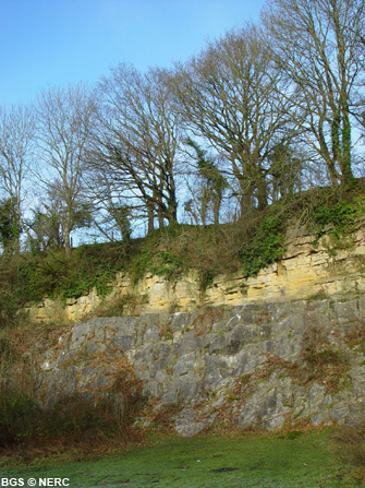 The classic De la Beche unconfomity at Vallis Vale. The horizontal yellow Inferior Oolite overlies the grey dipping Carboniferous Limestone.