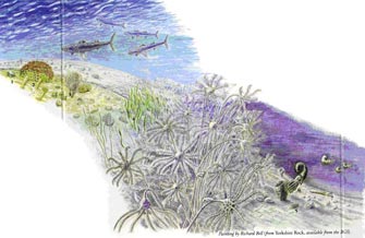 A reconstruction of the Early Carboniferous sea floor with crinoid 'gardens'