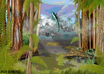 Life in the Late Carboniferous