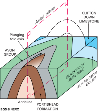 Block diagram to illustrate the concentric pattern of older rocks
                surrounded by younger rocks that has been produced by erosion of
                the Mendip periclines.