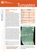 Download Mineral Commodity Profile -  - Tungsten Profile