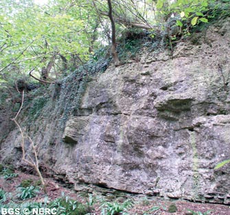 Downside Stone quarry, Ham Woods