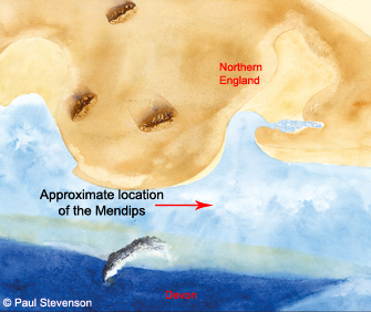 A reconstruction of the paleogeography in the early Carboniferous.