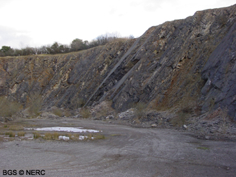 Steeply dipping Carboniferous limestone, Fairy Cave Quarry, near Stoke St Michael.