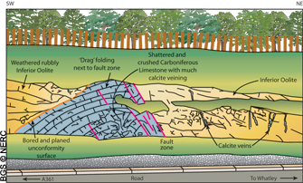 Sketch of the Jurassic unconformity exposed on the Holwell–Whatley road (click to enlarge view). 
