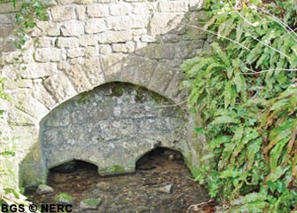St Aldhelm's Well, a spring which rises at the base of the Inferior Oolite formation.