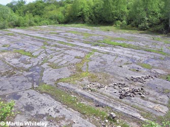 The flat unconformity surface at Tedbury Camp Quarry