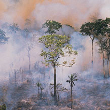 Exposure to heatwaves and wildfires could increase health problems for the population of Europe. (Photo: Getty Images)