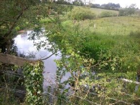 Chalk fed stream in a rural catchment