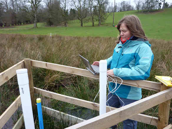 Downloading water level data from wetland piezometers