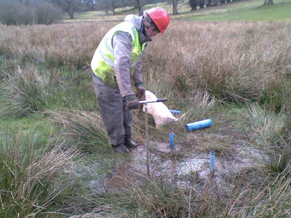 Installing shallow piezometers in a wetland area using a Dutch auger
