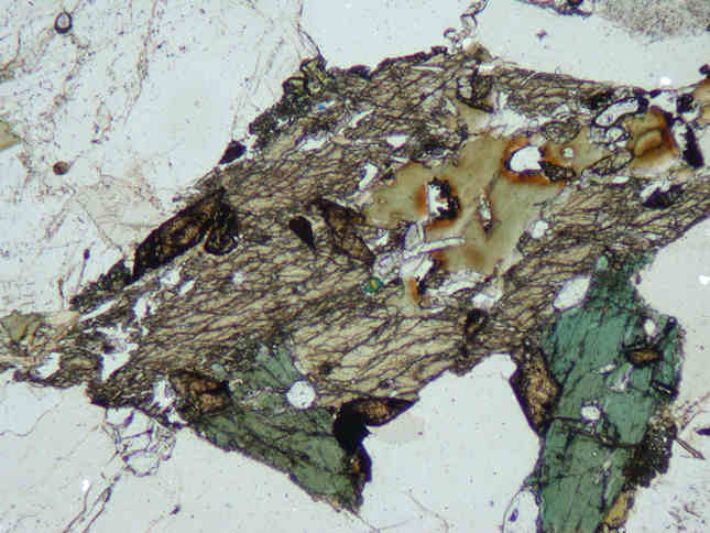 Thin section of a granite which contains high-fluorine minerals