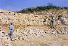 H. Haines limestone quarry.  