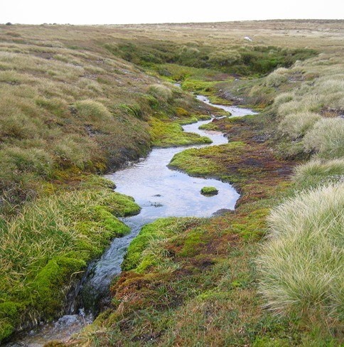 Wells of Dee