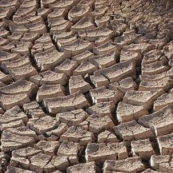 Mud cracks, photo by Tomas Castelazo (Own work) CC-BY-3.0 (www.creativecommons.org/licenses/by/3.0), via Wikimedia Commons