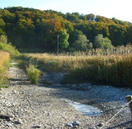 Dried up Chalk bourne, by Andrew Newell, copyright NERC 2003