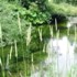 River flowing through a lowland catchment in southern England