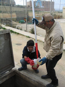 Sampling sewage in Malta