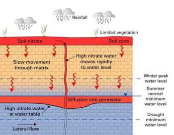 Diagram of water flow vertically through soil