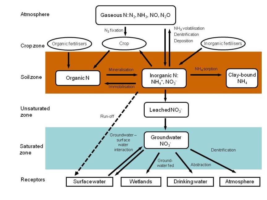 Ground water and climate change