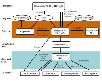 Nitrogen cycle