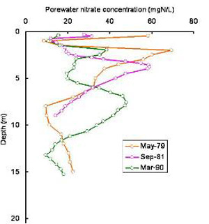 Porewater nitrate profiles