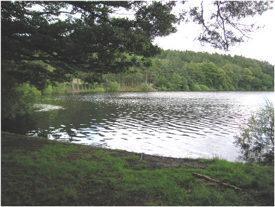 A water supply reservoir in northern England