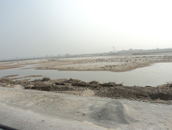Figure 1: waterlogged and saline land in Sindh, southern Pakistan.
