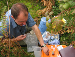 Sampling groundwater.