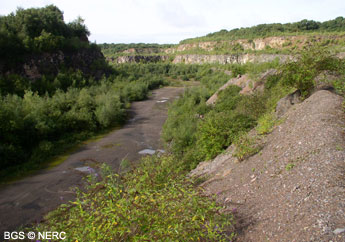 View of Asham Quarry, gradually being reclaimed by nature.