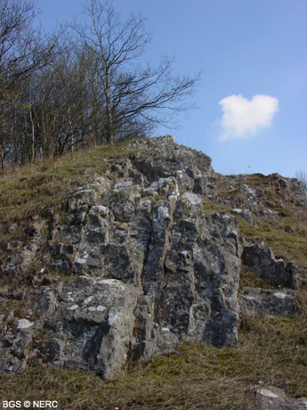 Outcrop of the Black Rock Limestone, Dolbury, Churchill