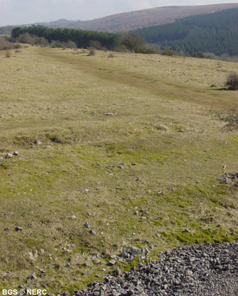 Dolbury Warren, an example of unimproved limestone grassland.