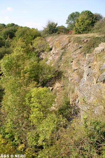 Binegar Quarry, Eastern Mendip