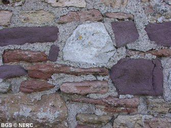 Stone wall in Rowberrow with grey Carboniferous limestone, purple Portishead Formation sandstone and pink Dolomitic Conglomerate.