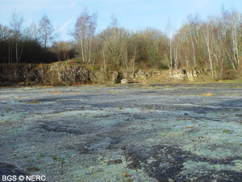 The Jurassic unconformity at Tedbury Camp Quarry, a geological SSSI