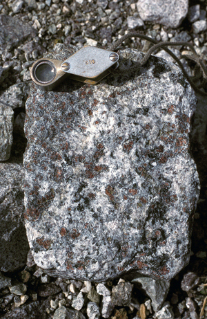 garnet anorthosite, Outer Hebrides. Photo, J Mendum
