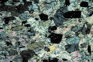 staurolite-muscovite schist, Shetland. Photo, BGS, P104091