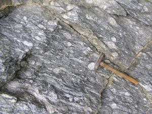 augen gneiss, Shetland. Photo, D Fettes