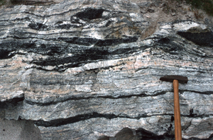 Lewisian gneiss, Outer Hebrides. Photo, BGS, P008291