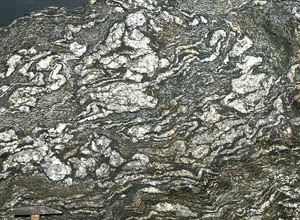 migmatitic gneiss, Nairnshire. Photo, BGS, P220399