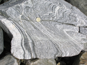 folded gneiss, Shetland. Photo, D Fettes