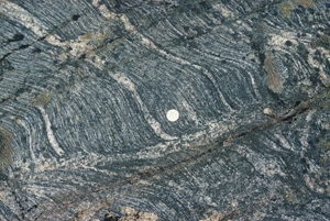 granite gneiss, Inverness-shire. Photo, A Harris